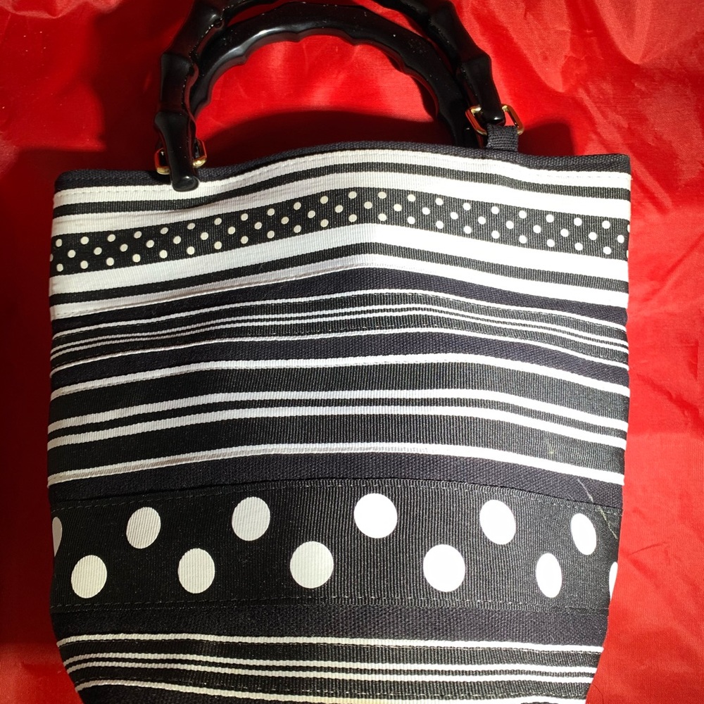 Tianni Polka Dot & Stripes Canvas Purse
